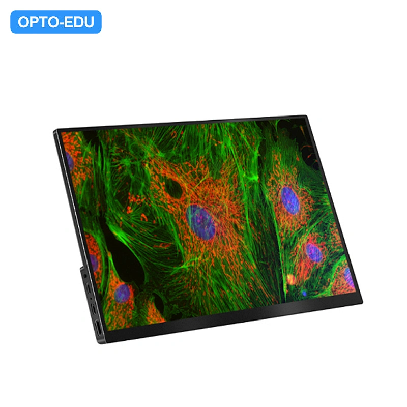 Monitor LCD HDMI de 13,3