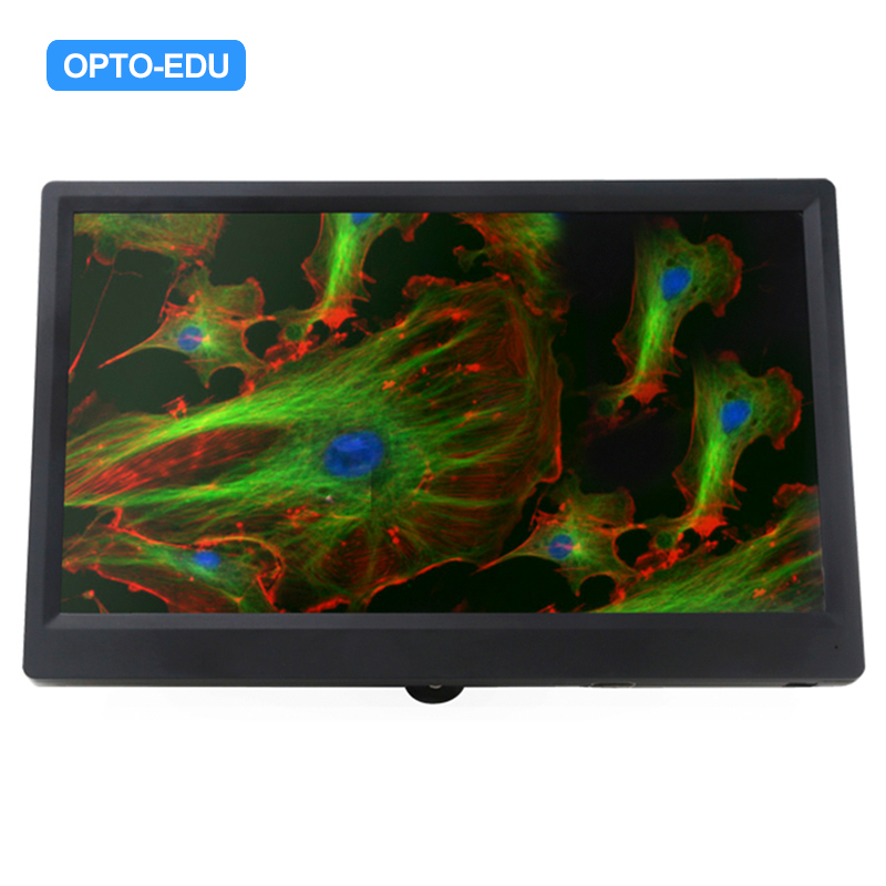 Monitor LCD HDMI de 11,6