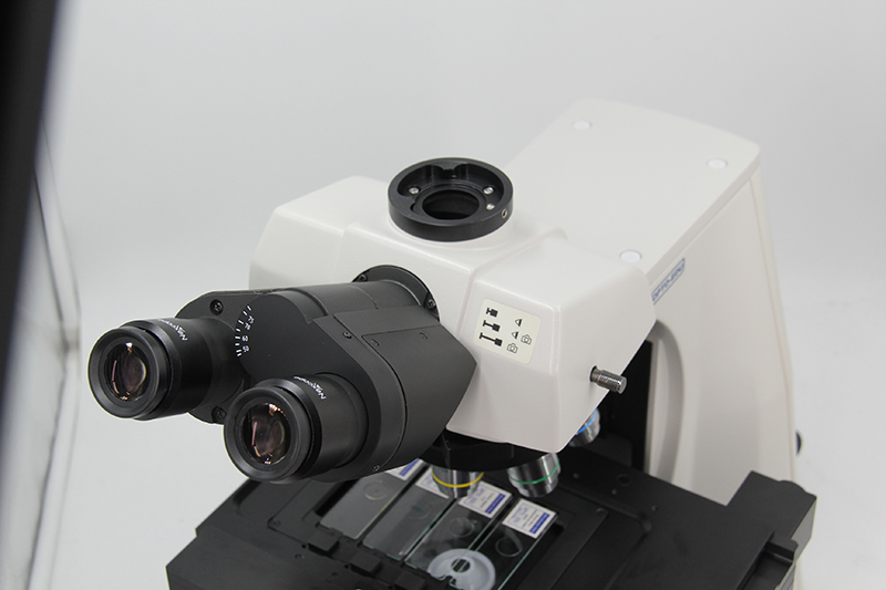 A12.1095_M13.jpg
