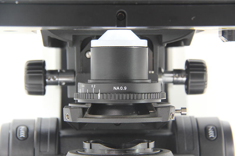 A12.1095_M17.jpg