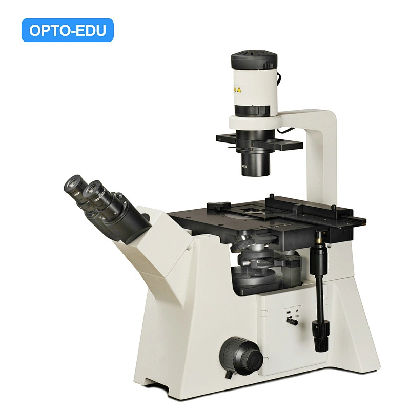Microscope inversé