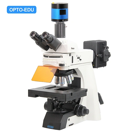 Microscope Fluorescent Motorisé, BF/FL, XYZ+Nosepiece Motorisé