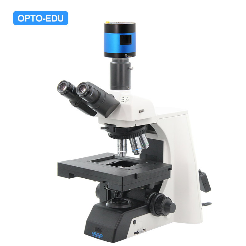 Motorlu Biyolojik Mikroskop, BF, XYZ Motorlu