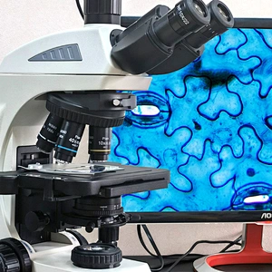 Mikroskop Biologi Makmal, Binokular, LCD Maklumat