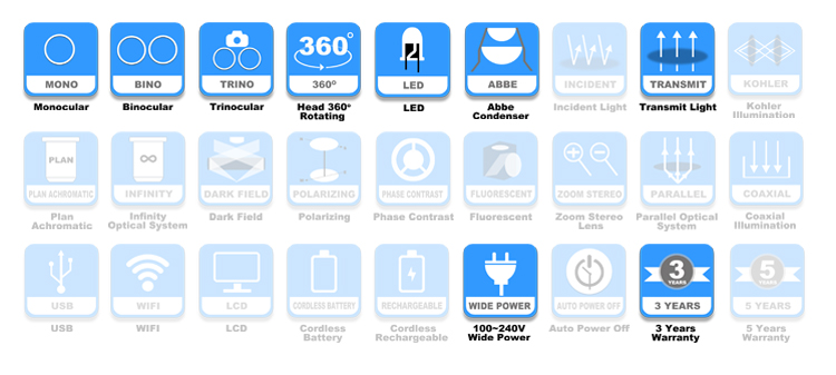 A11.1316_02.jpg