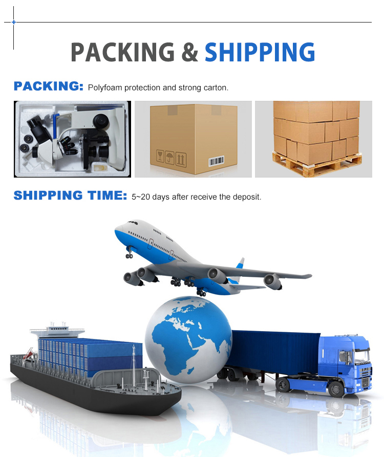 A11_10_02.jpg