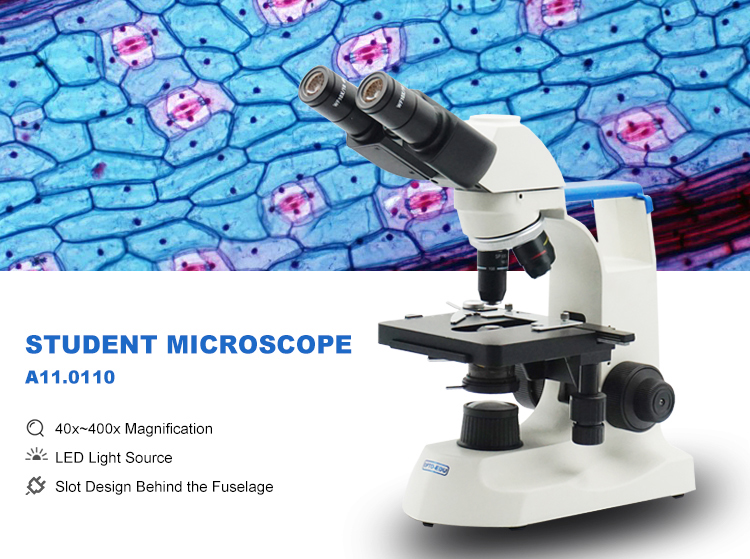 A11_01.jpg