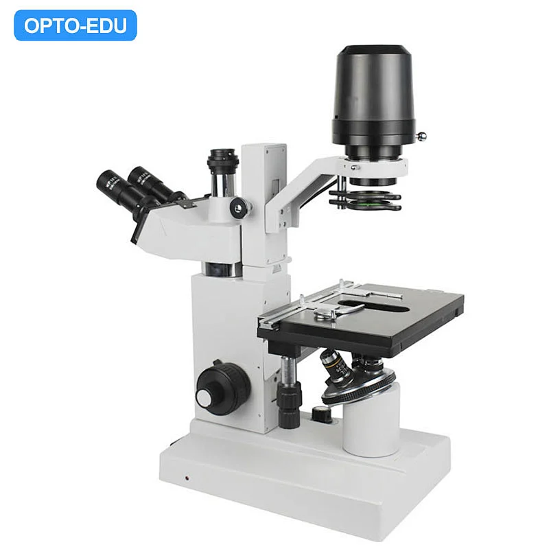 Inverted Microscope, Trinocular