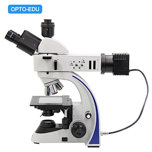 Metallurgical Microscope, Transmit & Reflect Light, Binocular