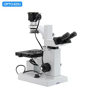 Inverted Microscope, Binocular