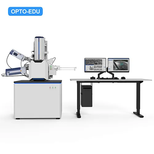 Schottky Field Emission Scanning Electron Microscope, 1000000x