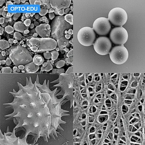 Schottky Field Emission Gun Scanning Electron Microscope, SE+CCD, 1x~2000000x