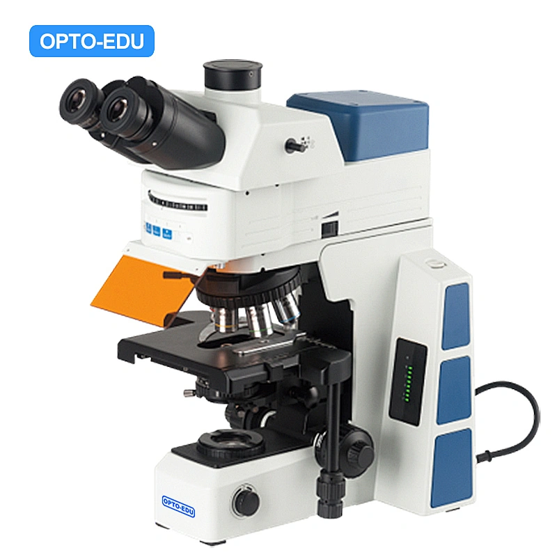 Research Flourescence Microscope, LED+LED, B,G,UV, Semi-APO, Upgrade BF+DF+PL+PH+FL+DIC
