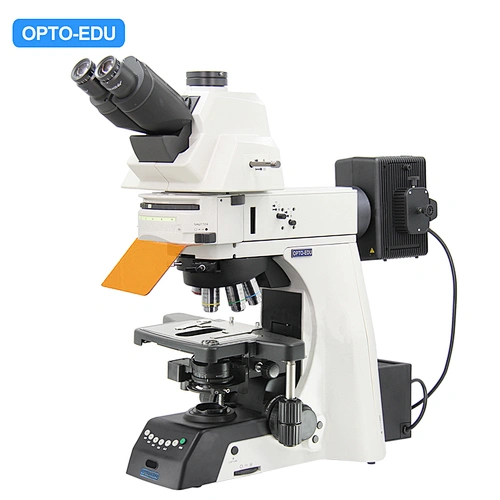 Upright Fluorescent Microscope, Semi-APO, Semi-Motorized, Halogen + Mercury