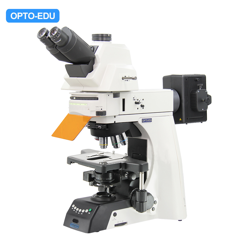 Upright Fluorescent Microscope, Semi-APO, Semi-Motorized, LED + Mercury