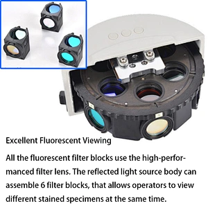 Upright Fluorescent Microscope, Semi-APO, Full Motorized, LED + Mercury