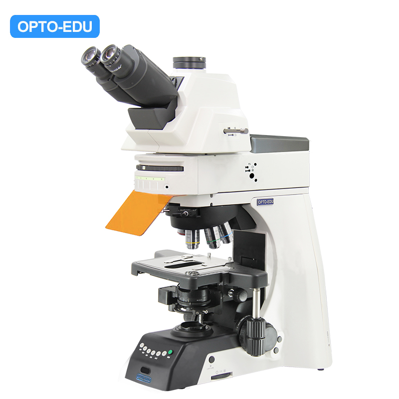 Upright Fluorescent Microscope, Semi-APO, Semi-Motorized, LED + LED