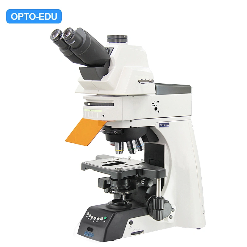 Upright Fluorescent Microscope, Semi-APO, Semi-Motorized, LED + LED