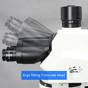 Upright Fluorescent Microscope, Semi-APO, Full Motorized, LED+LED
