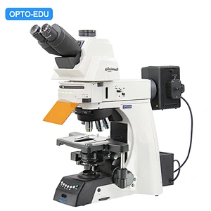 Upright Fluorescent Microscope, Semi-APO, Semi-Motorized, LED + LED