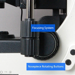 Upright Fluorescent Microscope, Semi-APO, Semi-Motorized, Halogen + LED