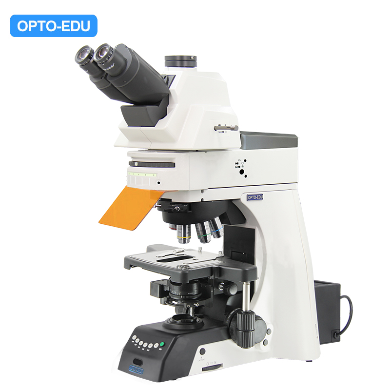 Upright Fluorescent Microscope, Semi-APO, Semi-Motorized, Halogen + LED