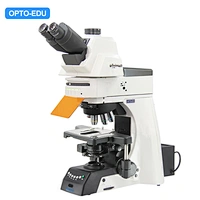 Upright Fluorescent Microscope, Semi-APO, Semi-Motorized, Halogen + LED