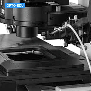 Research Level Inverted Fluorescent Microscope + Micromanipulators, BF+FL+RPC