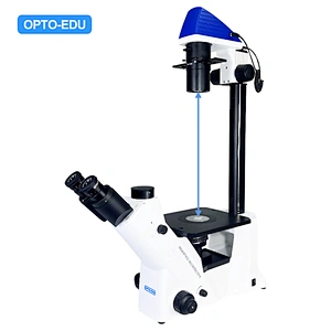 Inverted Cell Factory Microscope, Semi-APO, BF+PH