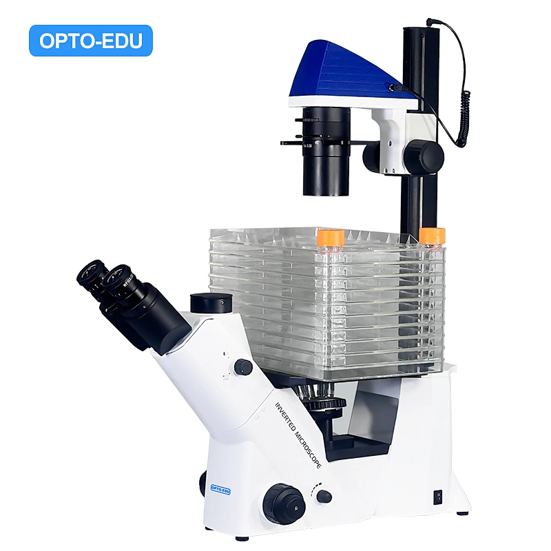Inverted Cell Factory Microscope, Semi-APO, BF+PH