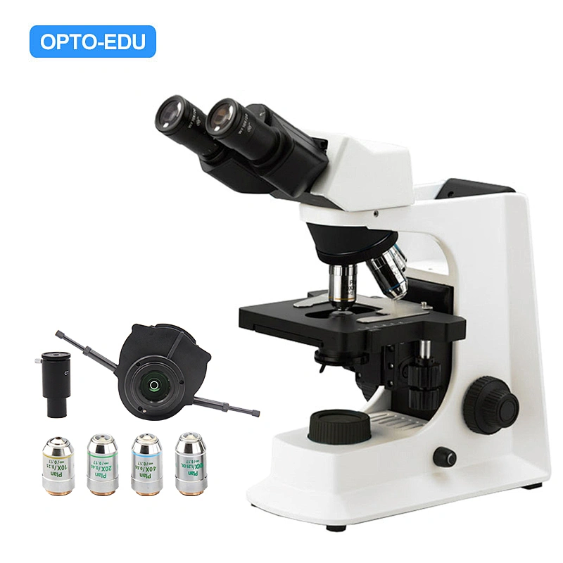 Phase Contrast Microscope, Infinity Plan, Turret Disc Condenser