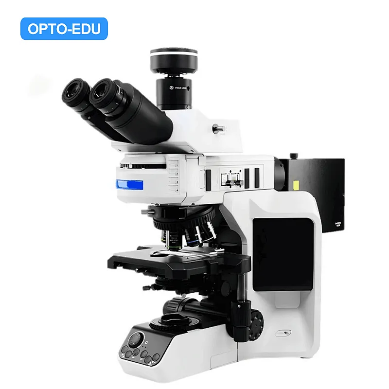 Fluorescent Microscope