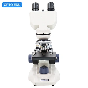 Microscopio Biológico, Binocular