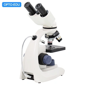 Microscopio Biológico, Binocular