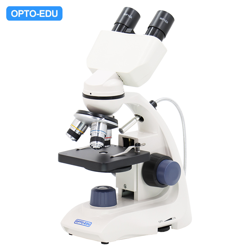 Microscope Biologique, Binoculaire