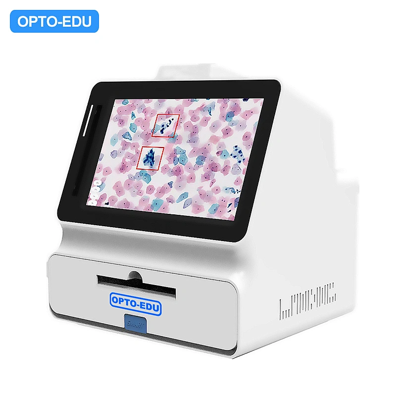 Mini Full Auto Microscope Slide Scanner, 2 Slides