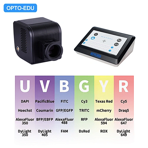Broad Spectrum LED Fluorescent Illuminator