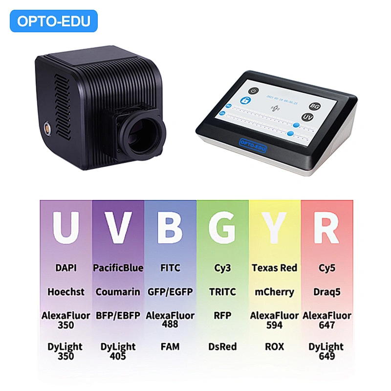 Broad Spectrum LED Fluorescent Illuminator