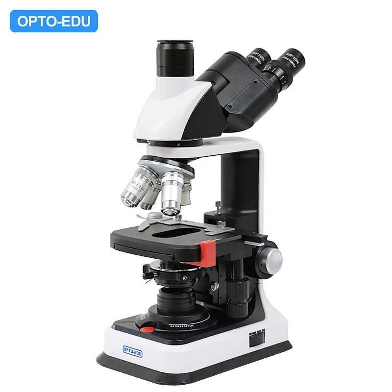 Biological Microscope