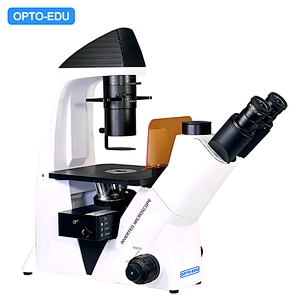 Inverted LED Fluorescent Microscope, High Brightness, B,G