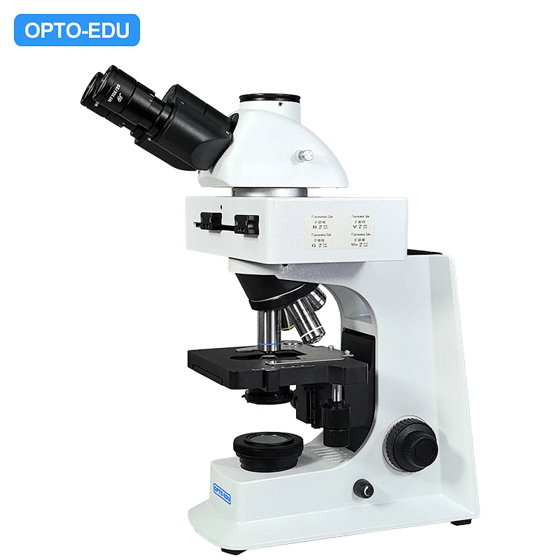 Ultra LED Fluorescent Microscope, Semi-APO Optional