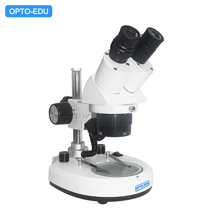 Stereo Microscope, 2x/4x
