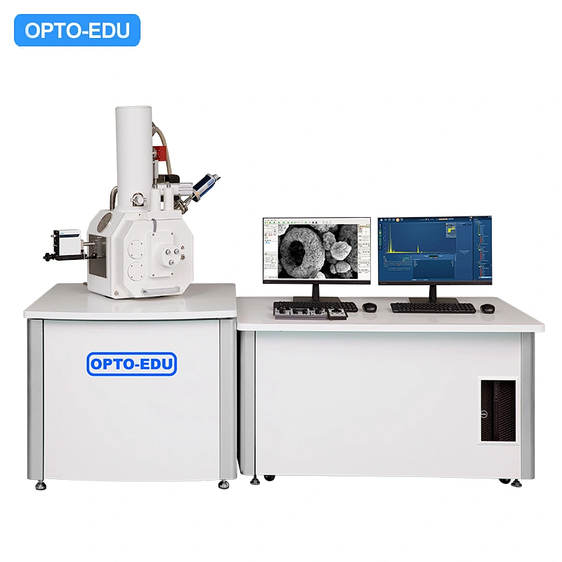 Kính hiển vi điện tử quét súng phát xạ trường Schottky Pro FEG SEM, 6x~1000000x