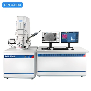 Tungsten Filament Scanning Electron Microscope, SE+BSE+CCD, 8x~300000x