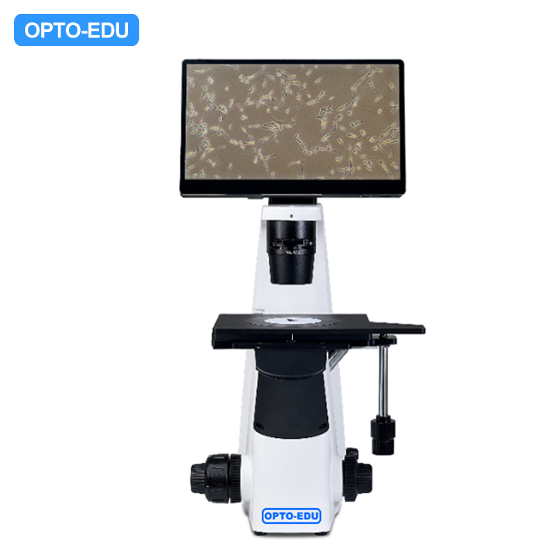 EVOS LCD Cell Image Inverted Microscope, Semi-APO, BF+PH, LCD+Camera