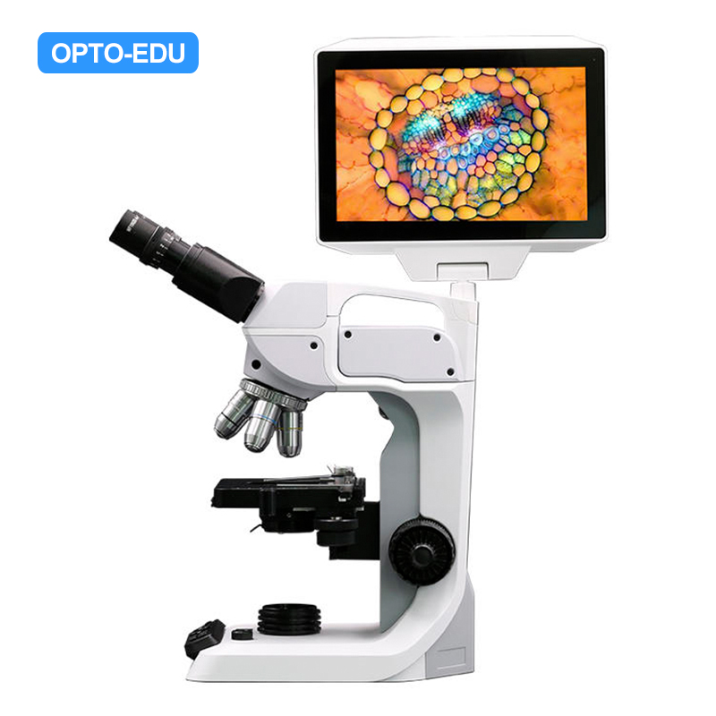 Digitales biologisches 10,1-Zoll-LCD-Mikroskop, Internetversion, 5,0 m