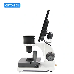 LCD niet-invasieve nagelmicrocirculatie die microscoop controleert