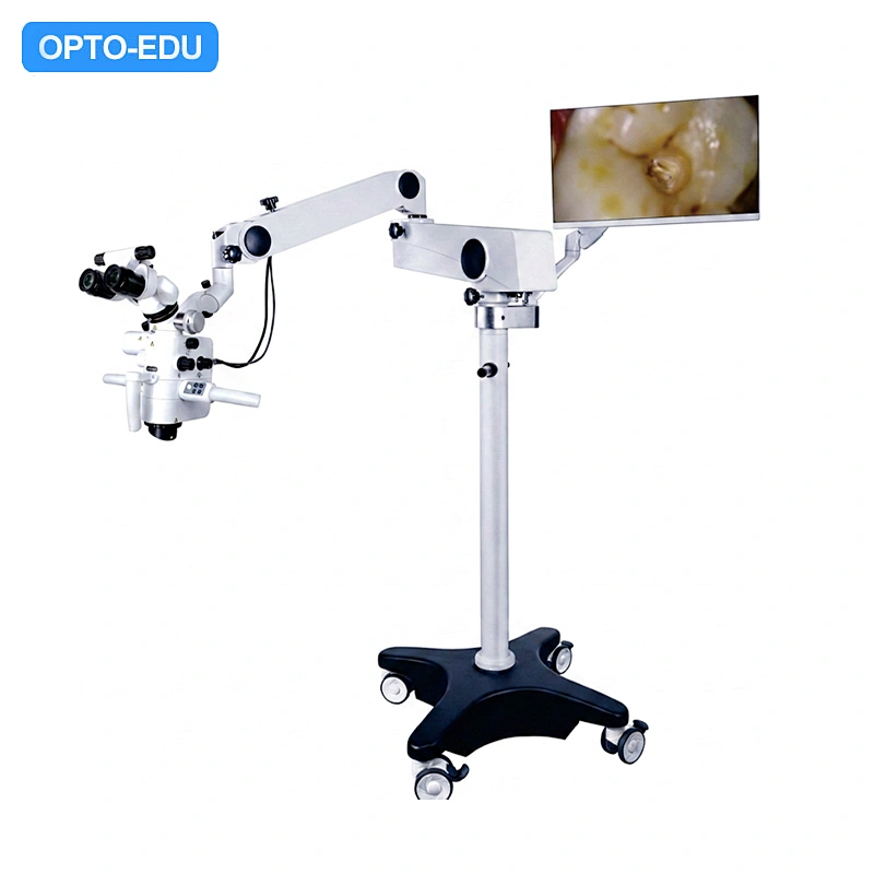 Microscópio operacional, uma cabeça 0-200 °, zoom motorizado, 2,5x ~ 21x, para odontologia, otorrinolaringologia.