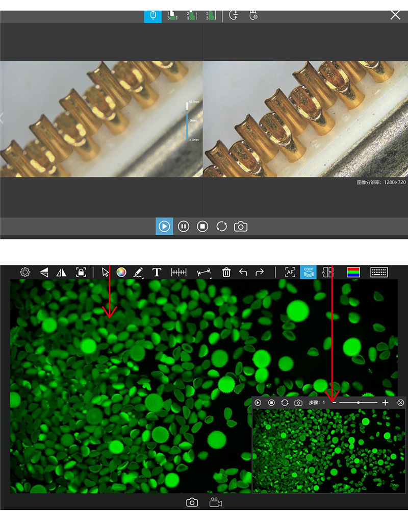edf digital microscope camera