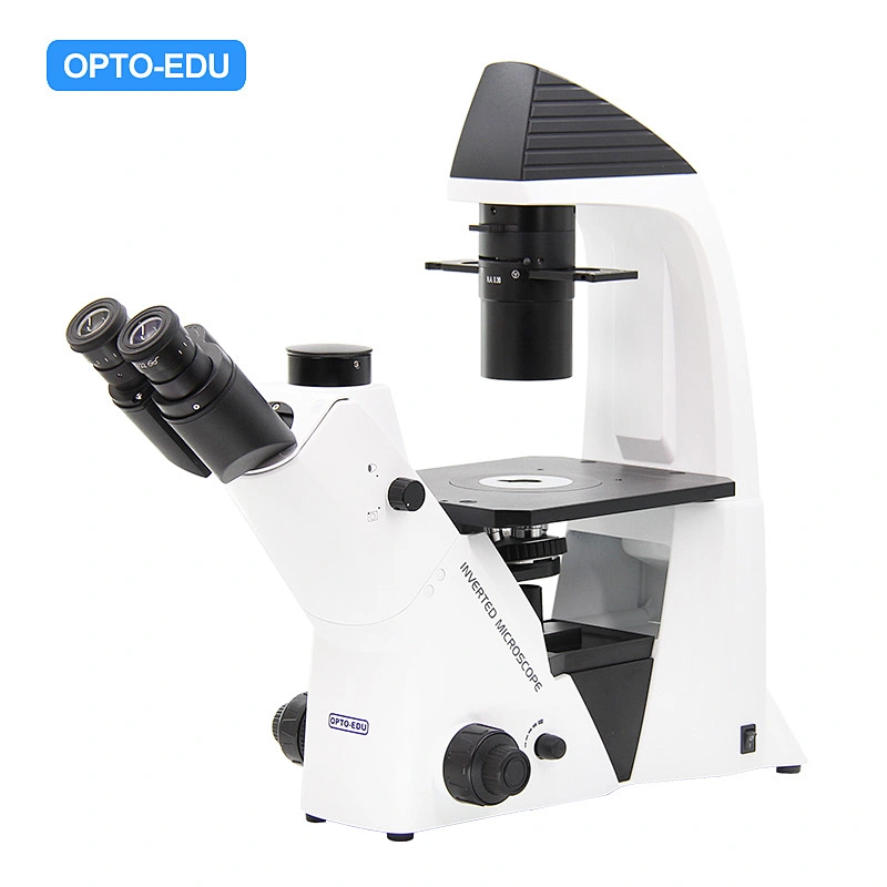 Microscope inversé, transmission de la lumière